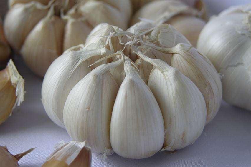 Jangan Khawatir! Bawang Putih Impor Masuk, Pasokan Jelang Ramadan dan Idulfitri Aman